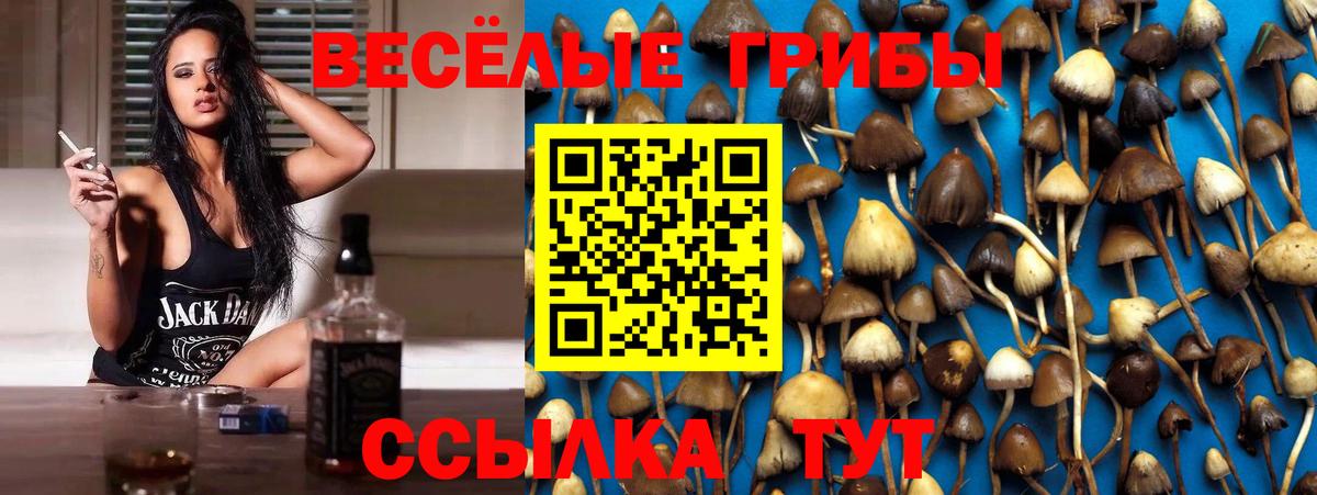 Гусиноозёрск  Псилоцибиновые грибы MAGIC MUSHROOMS  Вход с VPN 
