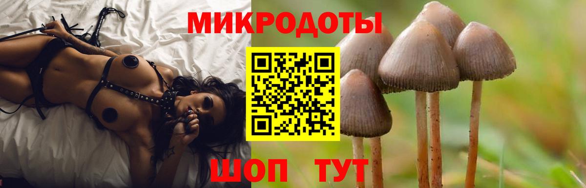 Галлюциногенные грибы Cubensis Гусиноозёрск